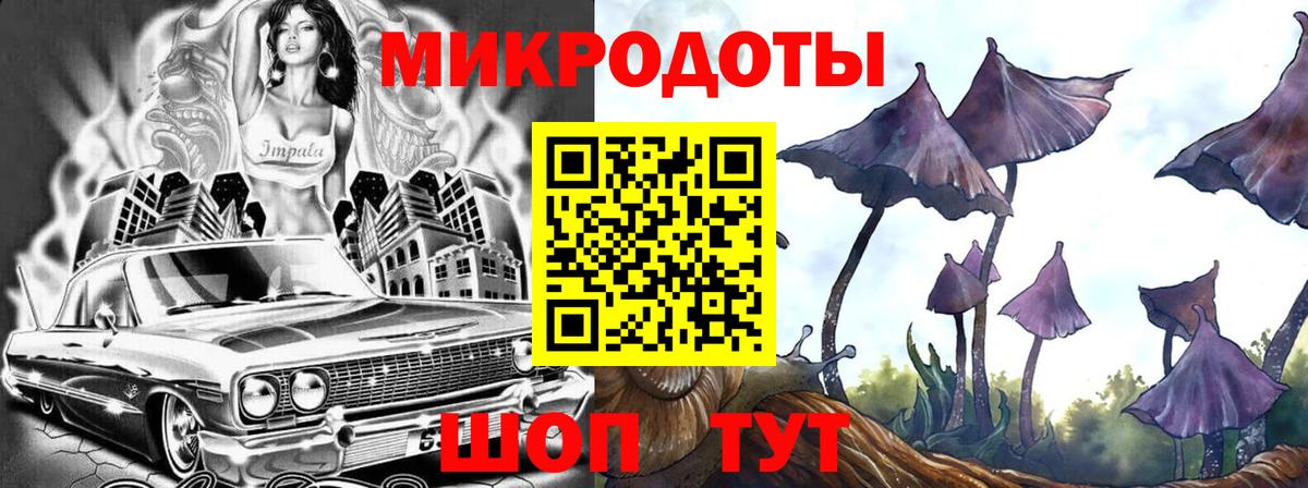 Галлюциногенные грибы Cubensis Гагарин